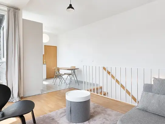 Beautiful Roof Top 2-room apartment in Simplonstrasse