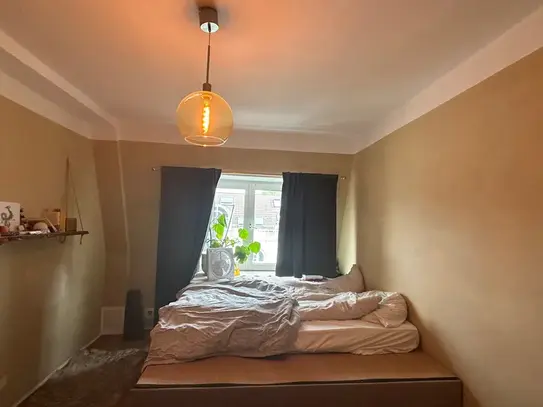 Bright and cozy home (Frankfurt am Main)