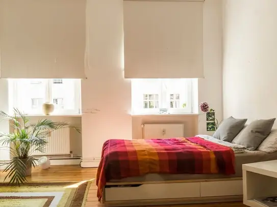 ★ VERY SPECIAL PRICE★ CozyLoft Apartment, Berlin - Amsterdam Apartments for Rent