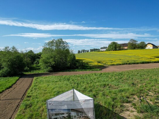 Weißkirchen - Tolle 4-Raum Dachterrassenwohnung mit freiem Blick ins Grüne!