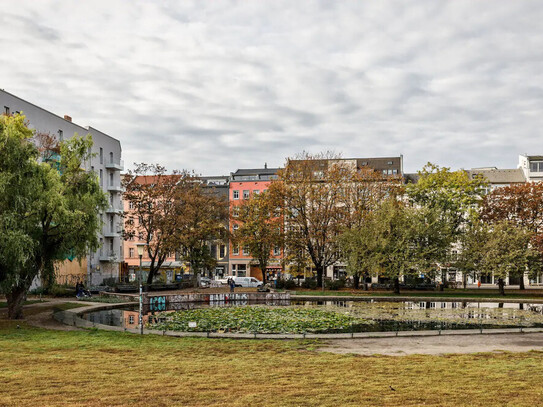 Helles Studio Apartement am Weinbergspark in Mitte