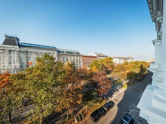 Luxuriöse Altbauwohnung im Palais Schottenring