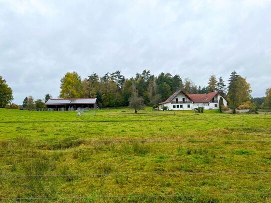 Rarität: Bio-Bauernhof im Waldviertel