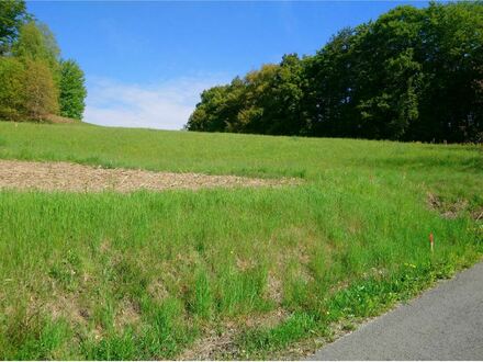 Aufgeschlossenes Baugrundstück in schöner Lage