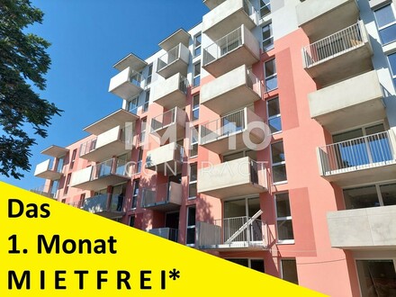 ERSTBEZUG - Das 1. Monat mietfrei!* - 2 Zimmer Wohnung mit BALKON - Idlhofgasse 70 Top 63