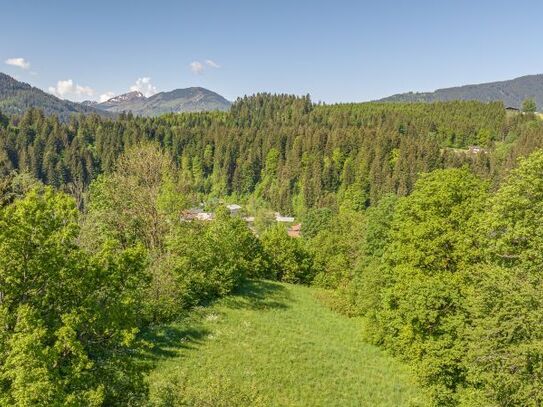 Traumhaftes Grundstück am Fuße des Kitzbüheler Horns