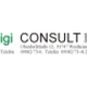 igi Consult GmbH