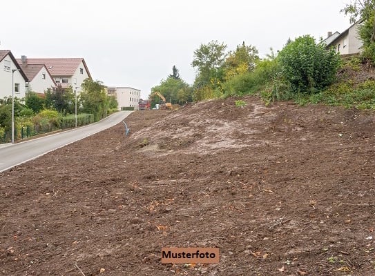 Unbebaute Garten- bzw. Grünlandfläche