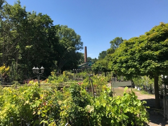 Gartenfachmarkt auf 17.000 m² - Garten hat Zukunft!