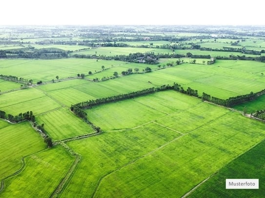 Land- / Forstwirtschaft in 23863 Bargfeld-Stegen, Elmenhorster Str.