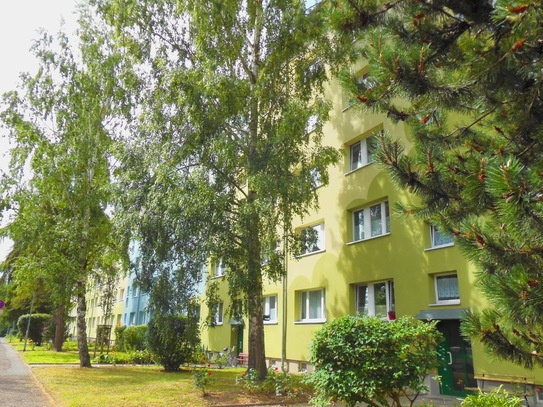 3 Raum Wohnung mit Balkon im Grünen