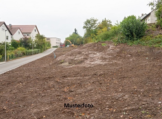 Unbebautes Grundstück/Streuobstwiese