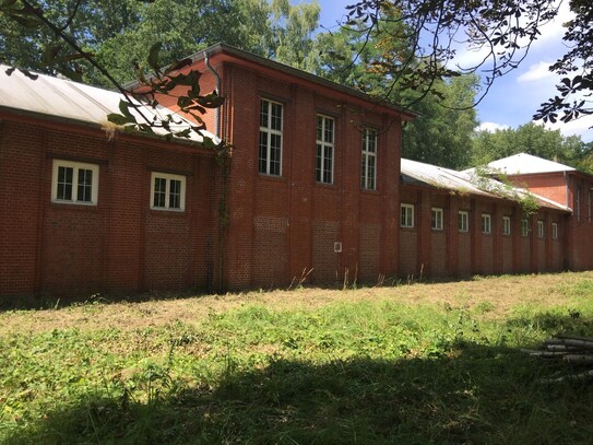 Gewerbefläche mit alten Hallen in Wassernähe in Brbg-Kirchmöser