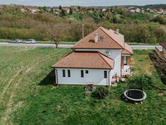 Neues Einfamilienhaus mit Gästeappartement