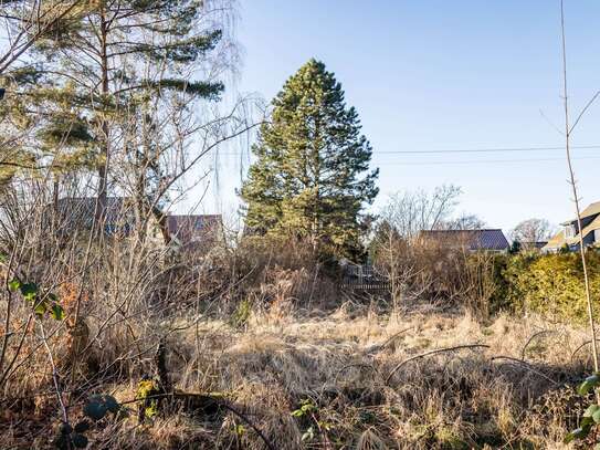 Lichtenberg: Wohnbaugrundstücke unter Bodenrichtwert ab 400 m² bis 1.570 m² direkt am Park