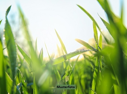 Diverse Landwirtschaftsflächen