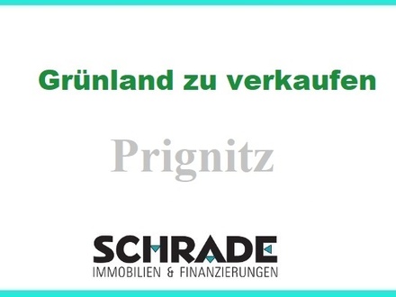 19 ha Grünland in der Prignitz