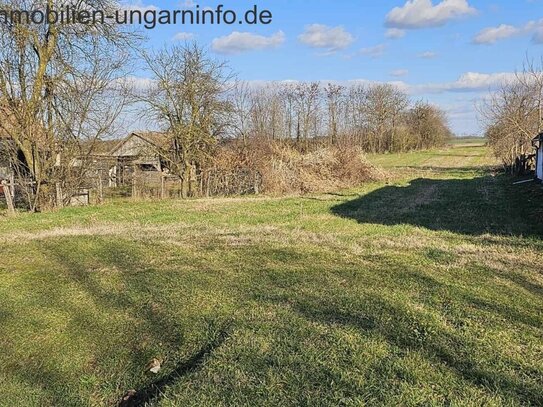 Baugrundstück in Pusztakovácsi zu verkaufen