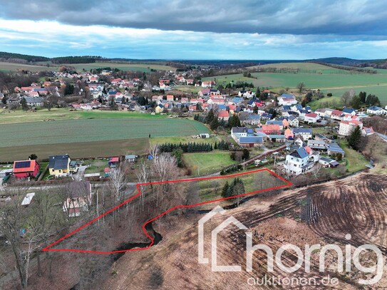 Kleine Wiese mit Wald (ca. 0,2 ha) in Oberlichtenau