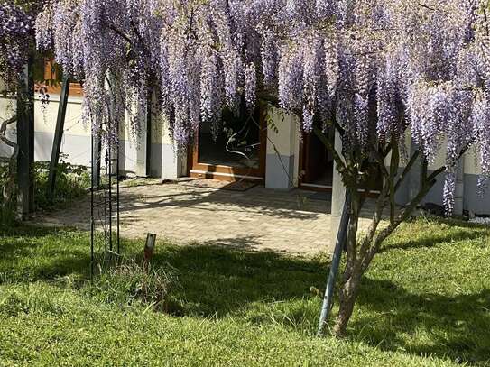 Wohnen wie im eigenen Haus - 3 Zi. mit 250 qm Garten