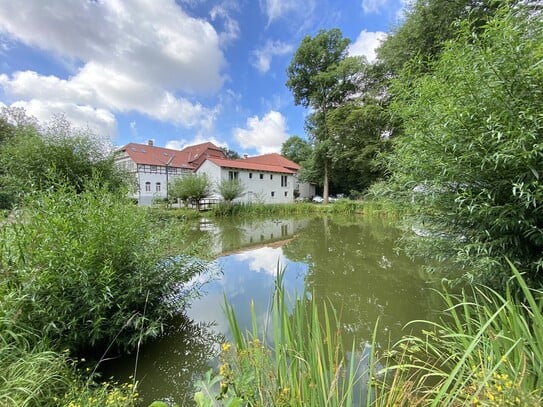 Helles 2-Zimmer Apartment mit einmaligem Ausblick in Braunschweig