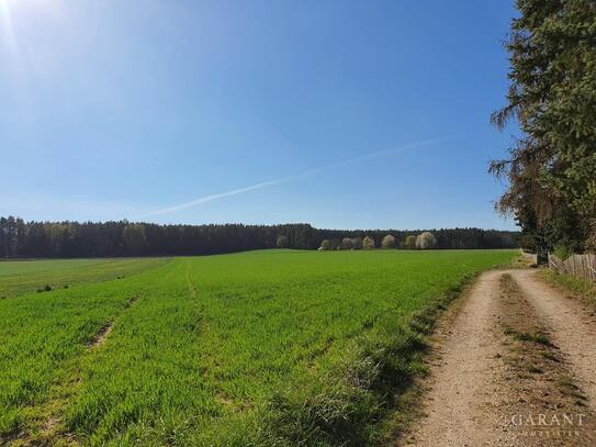 Wohngrundstück in sonniger, unverbaubarer Lage mit herrlicher Aussicht