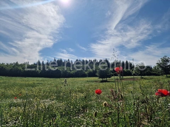 ISTRIEN, Vižinada - Verkauf von landwirtschaftlichen Flächen von 10.000 m2!