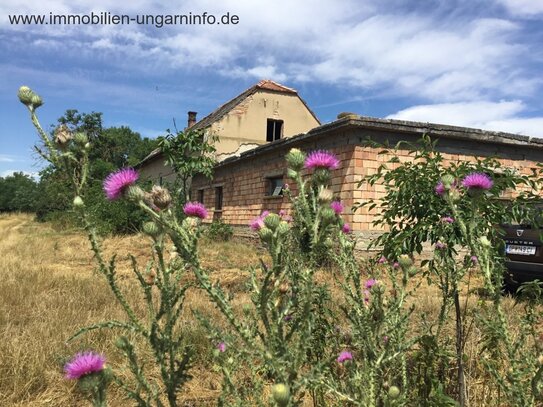 Bauernhaus in ruhige Lage