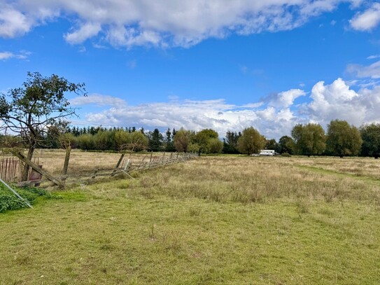 HORN IMMOBILIEN mit Video 5,6 ha bei Löcknitz, als Wildtierfarm, zur Pferdehaltung oder für Alpakas