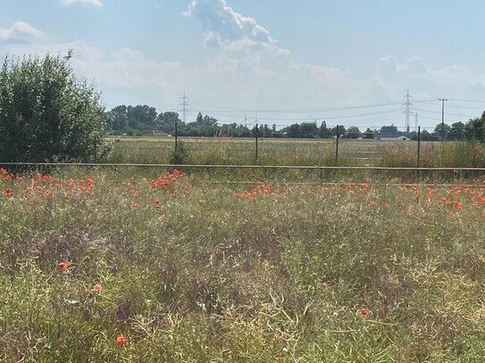 Sonniges Grundstück mit ruhiger Fernsicht