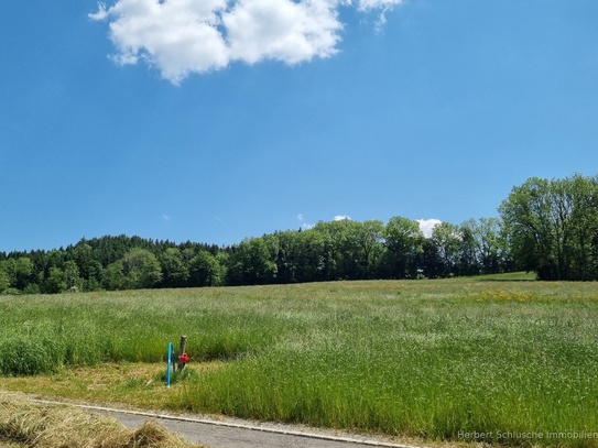 Sonniges, ländliches, idyllisches Baugrundstück in leichter Höhenlage in Bad Wurzach