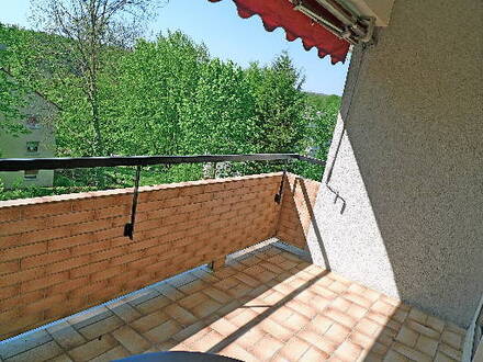 Umgeben v. majestätischem Buchen-Hochwald, sonnige 4 ZW mit Balkon
