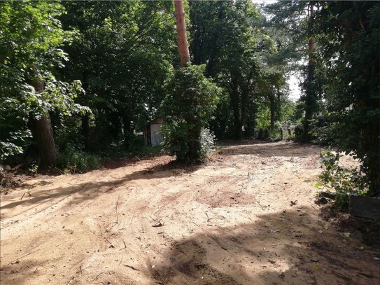 Großzügiges Baugrundstück mit Vorbescheid in Toplage provisionsfrei