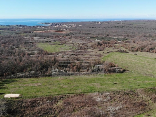 Land in der Nähe von Novigrad