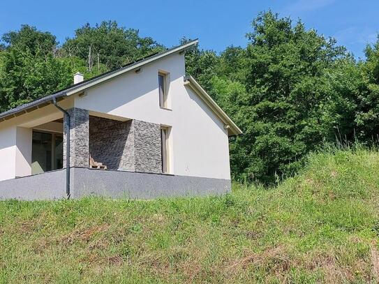 Neues Haus am Waldrand für Naturliebhaber