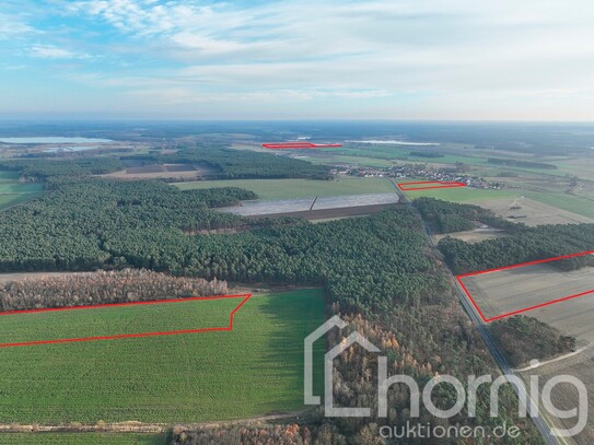 Acker und Grünland (ca. 24 ha) in der Spargelregion Beelitz südlich von Berlin