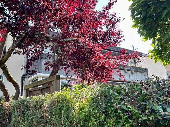 Wunderschönes Haus mit Einliegerwohnung in begehrter Lage