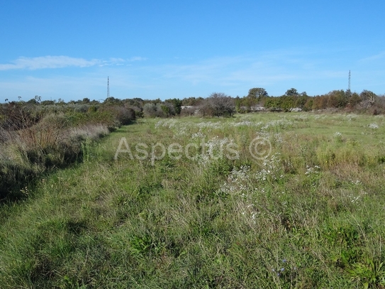 Vodnjan, landwirtschaftliche Flächen 3676m2