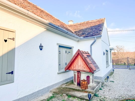 IHR UNGARN EXPERTE Verkauft ein schönes Bauernhaus in Csöde