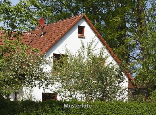 Einfamilienhaus mit Nebengebäude