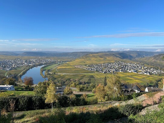 Grundstück mit unverbaubarem Moselblick