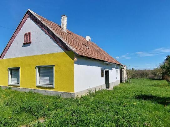 Haus mit gr. Grundstück für Pferde und Hundeliebhaber