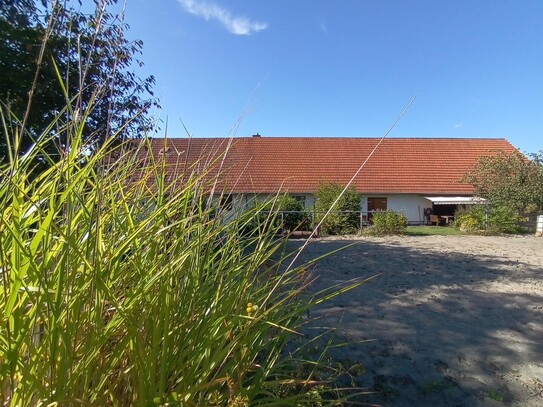 Großzügiges Bauernhaus Pferdehaltung möglich