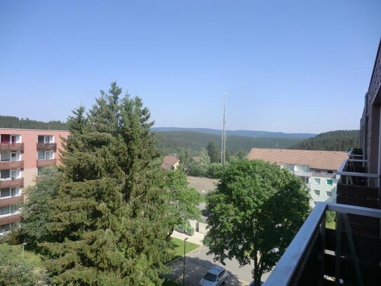 Westbalkon im 5 OG in der obersten Etage, Harz Altenau