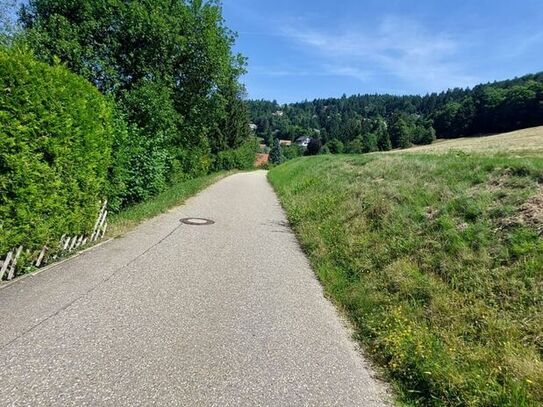 Schönes Baugrundstück in Sasbachwalden