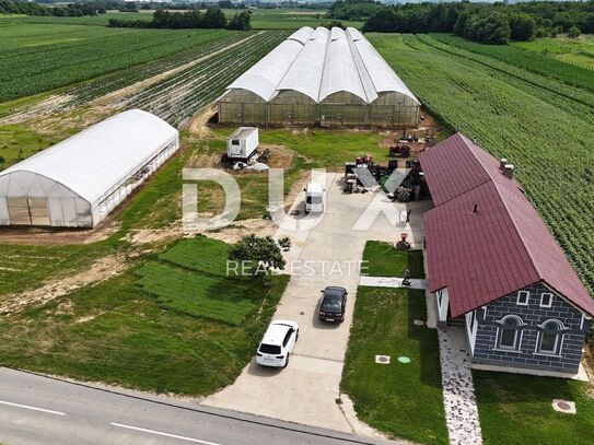 VIROVITICA, PITOMAČA – Ein geräumiges Grundstück für den Gemüseanbau, mit einem Haus und weiteren Baugrundstücken