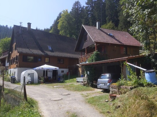 PROVISIONSFREI: Restbauernhof mit Bauernhaus + Ferienhaus + großes Grundstück