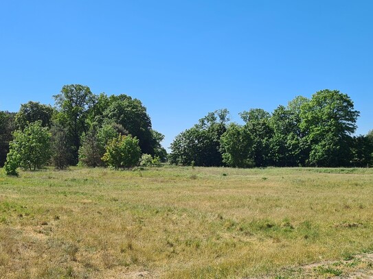 Naturnähe rund eine Stunde bis Berlin, vollerschlossen direkt vom Eigentümer