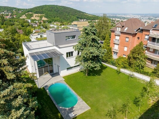 IHR UNGARN EXPERTE Verkauft ein modernes Haus mit einem wunderschönen Swimmingpool