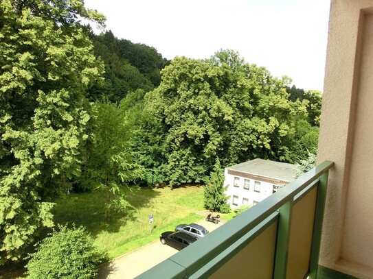 TOP 2-Zi-Wohnung NEU renoviert mit LIFT - seniorenfreundlich - Balkon/Loggia/EBK